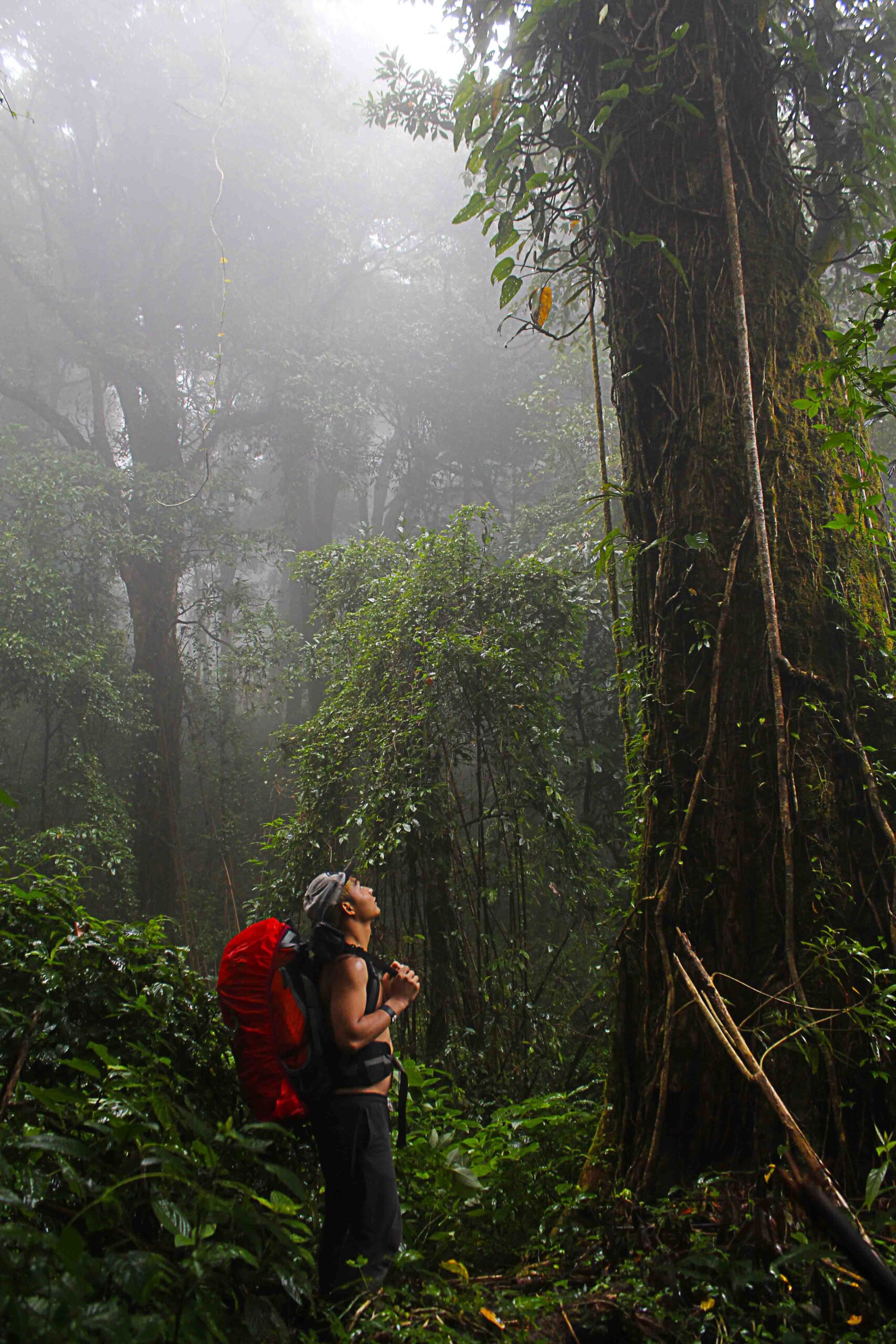 Adventure