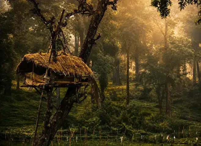 Wayanad
