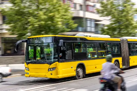 Bus / car hire