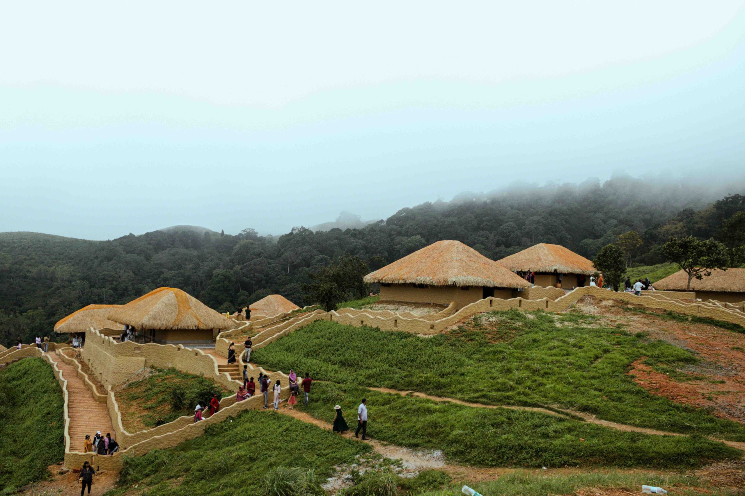 Wayanad — a detail