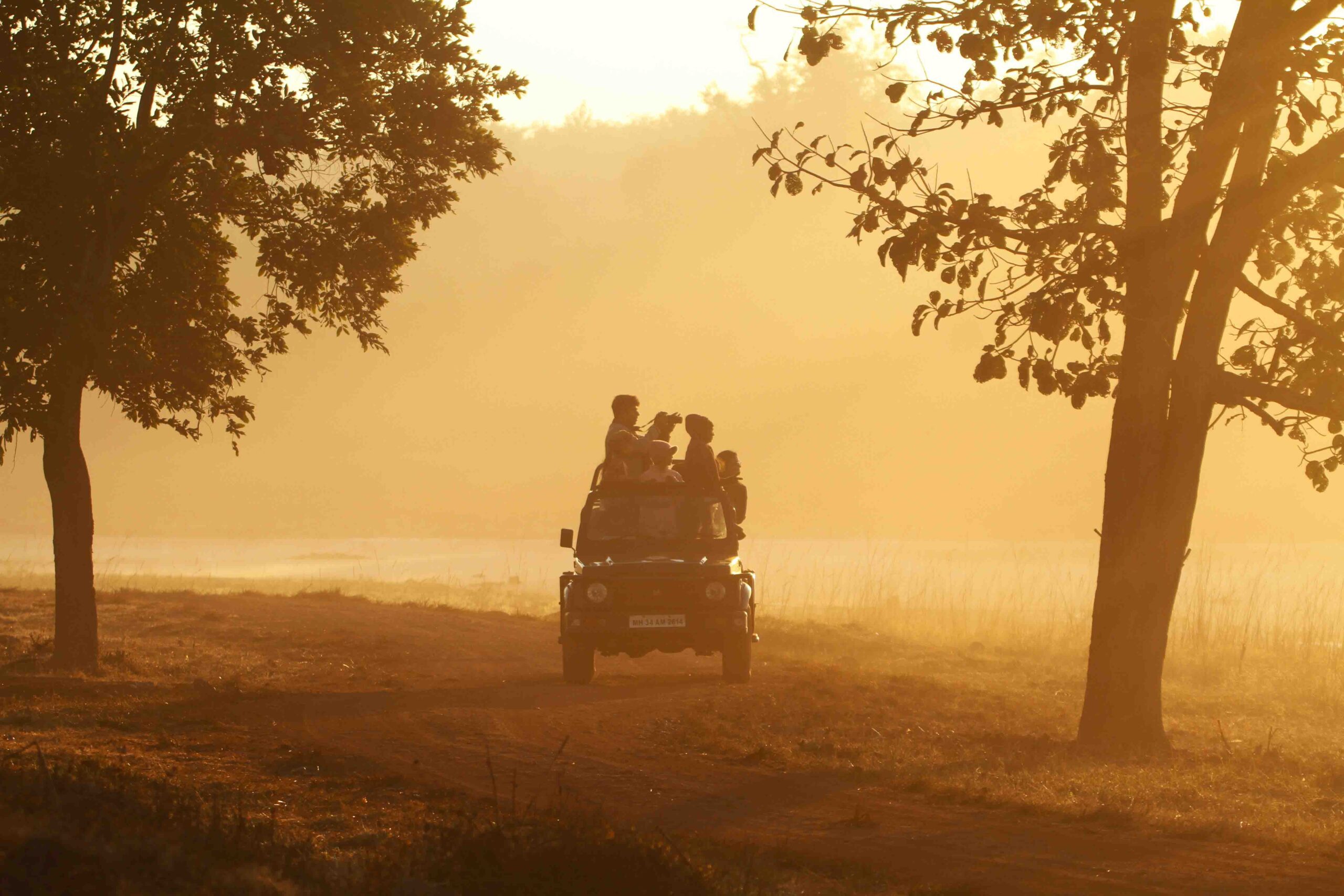 Wayanad — the wide shot