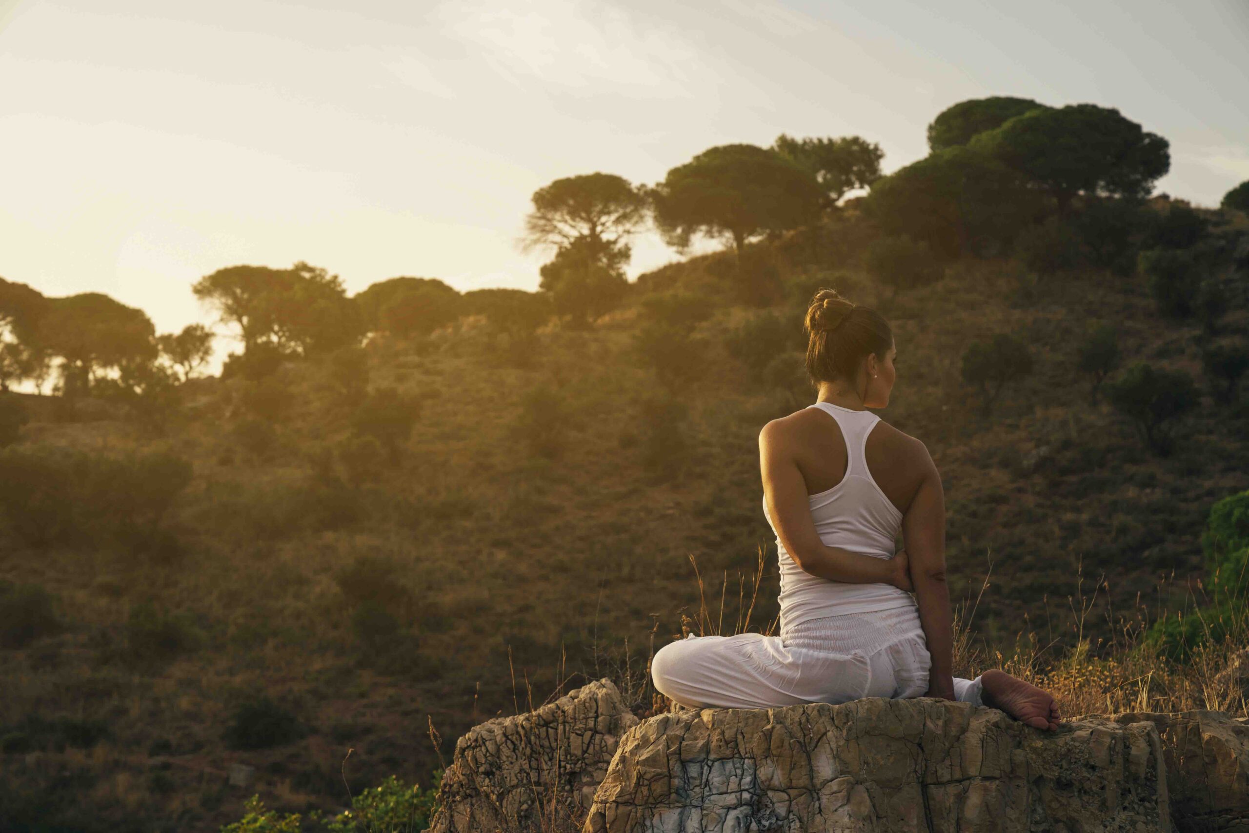 Wellness